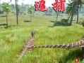 theisle最新爆料,The Isle最新爆料，带你探秘神秘岛屿的惊天秘密！