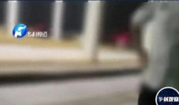 河北爆料视频入口,揭秘民生热点，共筑和谐家园