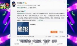 爆料网民被抓视频大全,网民被抓视频大全背后的真相