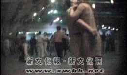 长春舞厅爆料视频,揭秘夜店幕后真相