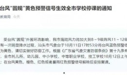 佛山学校爆料事件最新,真相与反思