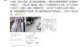 娱乐圈爆料教授,教授卷入娱乐圈风波，真相揭秘！