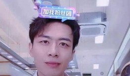 网红石头爆料视频大全最新,揭秘网络红人幕后真相