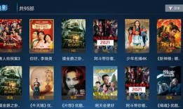 小熊侍卫爆料视频在线观看,揭秘幕后的精彩瞬间