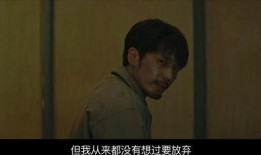 沉默的真相在线观看,沉默背后的悬疑世界