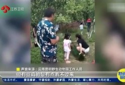 宿迁游客爆料事件视频,惊现景区不文明现象引热议