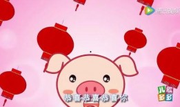 恭喜恭喜在线观看,在线观看，喜庆盛宴尽收眼底