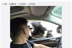 最近熊圈爆料视频大全,揭秘热点事件背后的真相