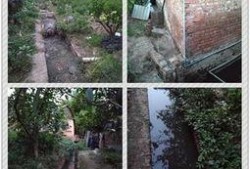 成都养猪场爆料视频大全,揭秘养殖场真实内幕