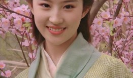 赵灵儿官方爆料视频,幕后故事与精彩瞬间