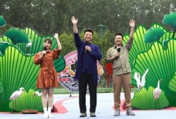 最新江苏热点爆料视频下载,视频揭秘事件真相