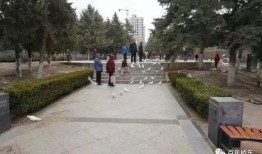 张家口公园爆料视频,揭秘公园里的惊人秘密