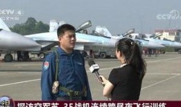 美国飞行员协会爆料视频,视频揭秘飞行安全疑云