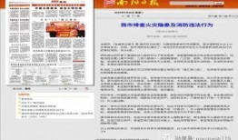 南阳打人媒体爆料最新,媒体最新爆料揭示惊人真相