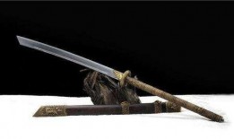 唐刀爆料视频大全最新,揭秘最新视频大全背后的精彩瞬间