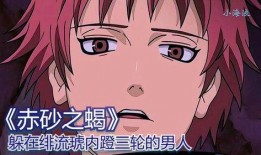 蝎绯流琥爆料哔哩哔哩视频,揭秘哔哩哔哩幕后故事