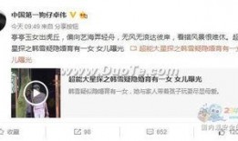 卓伟爆料视频大全,揭秘娱乐圈幕后真相