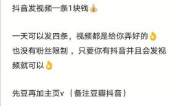 抖音爆料一条视频多少钱,一条视频价值几何？揭秘短视频变现秘密