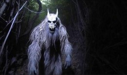 官方爆料的恐怖生物视频,神秘恐怖生物惊悚现身