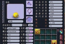 须弥早期爆料视频大全,揭秘神秘世界背后的精彩故事