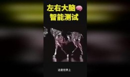 奇人异事热点爆料视频大全,揭秘神秘现象，盘点热点爆料视频大全