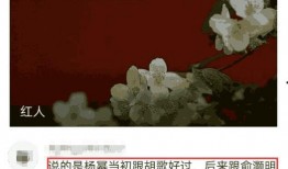 于正卓伟最新爆料消息,娱乐圈惊天秘密大揭秘！
