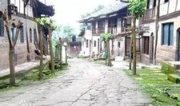 武胜新闻爆料,聚焦当地热点事件，揭示社会现象