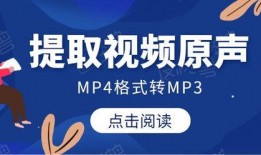 致远食堂爆料视频播放网站,揭秘校园美食背后的故事
