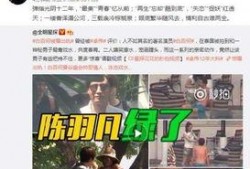 卓伟爆料视频大全,揭秘娱乐圈幕后真相