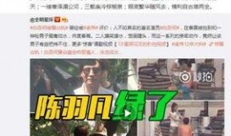 卓伟爆料视频大全,揭秘娱乐圈幕后真相