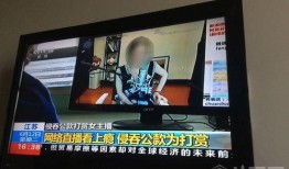 轩子巨二兔爆料视频,揭秘背后惊人真相