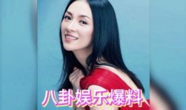 大眼明星爆料视频大全下载,揭秘娱乐圈幕后故事
