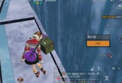 黎明觉醒雪山爆料视频播放,雪山揭秘，揭秘神秘视频背后的真相