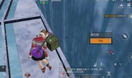 黎明觉醒雪山爆料视频播放,雪山揭秘，揭秘神秘视频背后的真相