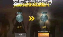 荒芜忍者爆料视频下载,揭秘神秘视频背后的秘密与真相