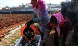 沾益最新爆料,揭秘神秘事件背后的惊人真相