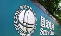 俄罗斯电网爆料新闻,揭秘电网安全与运营危机
