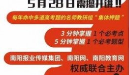 南阳打人媒体爆料最新,媒体最新爆料揭示惊人真相