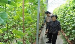 呼市吃瓜最新事件爆料是真的吗,最新爆料真相揭秘