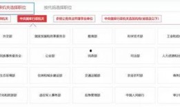 发视频爆料单价怎么填写,轻松掌握收益提升技巧