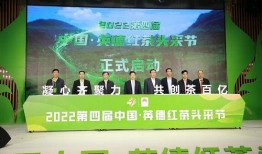 英德八中爆料新闻,揭秘校园内幕事件