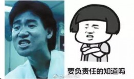 我要给娱乐爆料表情包,笑点满满引网友热议