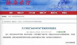 长沙网网友爆料新闻最新,神秘事件惊现街头，真相令人震惊！