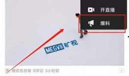 视频爆料多少钱可以立案,揭秘立案门槛背后的真相