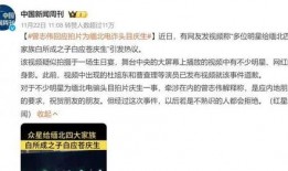 爆料缅北明星视频播放,网络传播背后的真相与反思