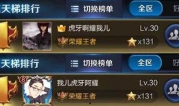 王者阿茶爆料视频大全最新,揭秘游戏幕后精彩瞬间