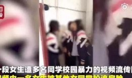 城阳女子爆料视频最新版,揭秘事件真相与后续发展