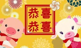 恭喜恭喜在线观看,在线观看，喜庆盛宴尽收眼底