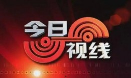 如何爆料今日视线的人,人生爆料背后的真相与启示