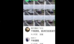 爆料黑坑干塘视频,视频爆料揭示真实垂钓内幕